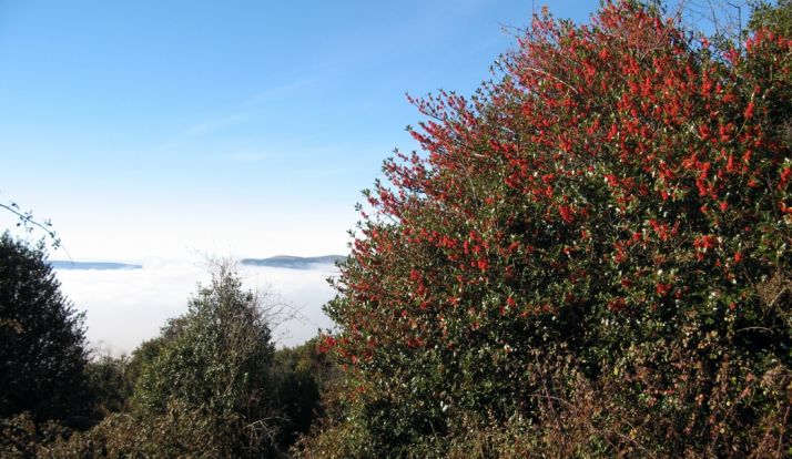 Una imagen de este espacio natural. 