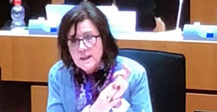 Angulo, durante su intervención este martes.