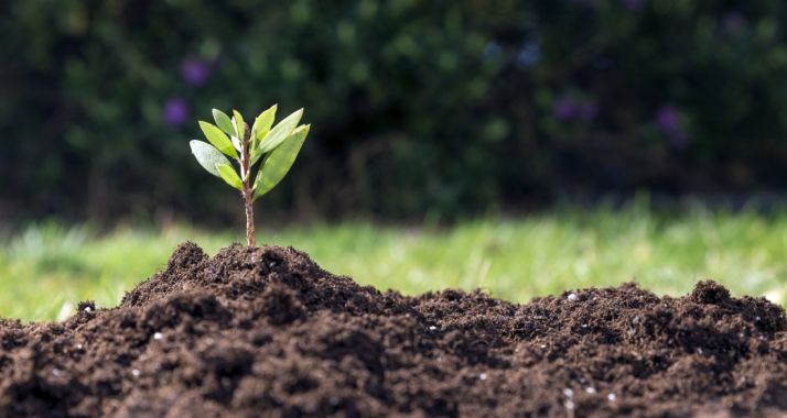 Arranca la selección de usuarios del servicio de asesoramiento para explotaciones agrarias, forestales y pymes