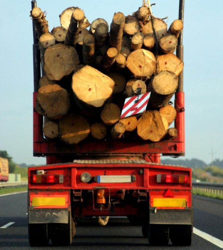 LOSAN aboga por aumentar la carga de madera en camión