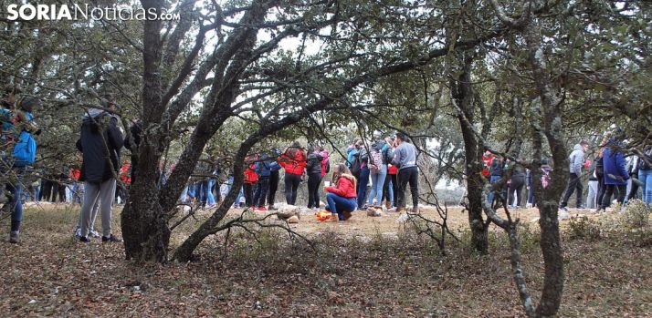 Jóvenes en Los Royales este día 8. /SN