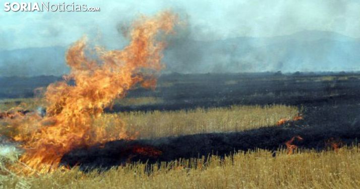 Quema de rastrojo en una imagen de archivo. /SN