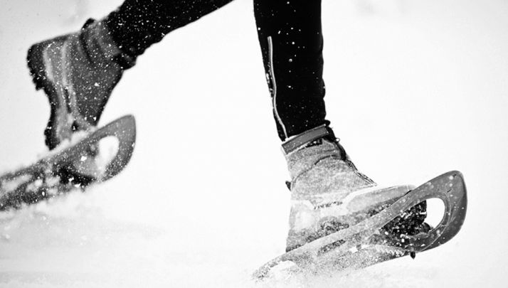 Vuelven las rutas con raquetas de nieve por Urbión