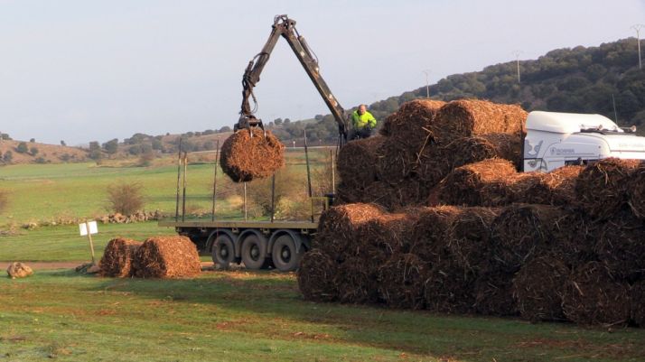 Almacenamiento de pacas resultantes del desbroce de matorral. 