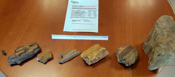 Los fósiles donados. /Jta.