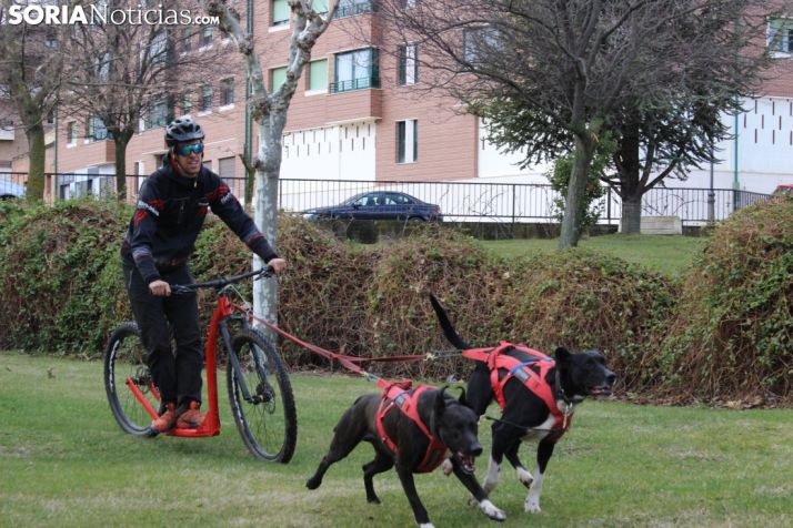 Jorge García, musher de Ólvega. 