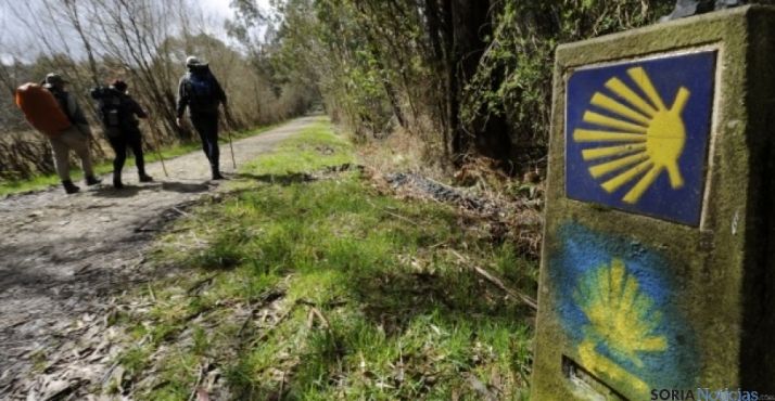 Caminos a Santiago y Espacios Naturales, prioritarios para la extensión de la banda ancha