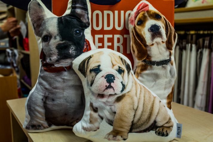 ¡Te van a encantar estos cojines de perritos por 7,50€ en SoriaDeCompras!