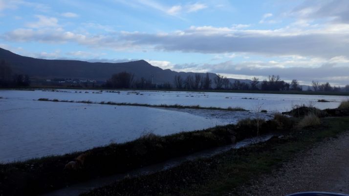Denuncian el lamentable estado de diversos puntos de  la red fluvial de la provincia