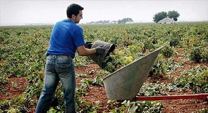 Joven agricultor en la zona de La Ribera. Foto: eleconomista.es