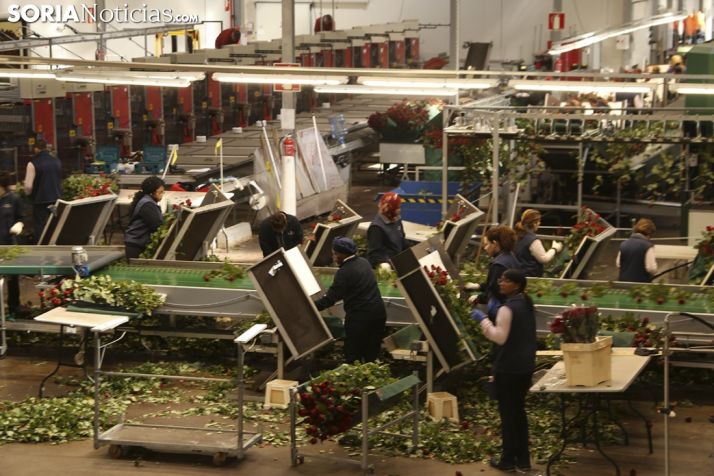 Imágenes de la visita a Aleia Roses. Freddy Páez