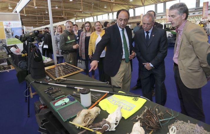Feria venatoria de Venalmazán. 