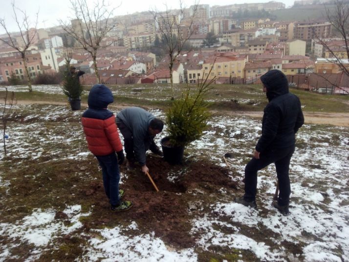 La plantación de árboles en el parque de El Castillo de Soria, la última actividad.
