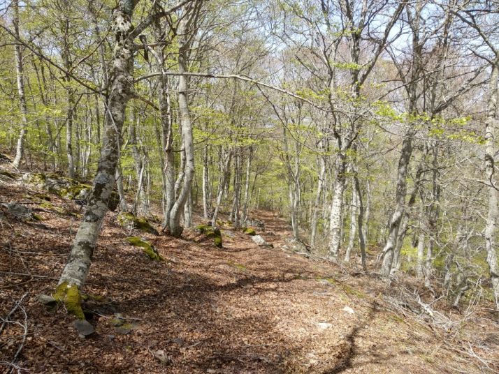 Nueva ruta por el Moncayo, desde Ágreda. 