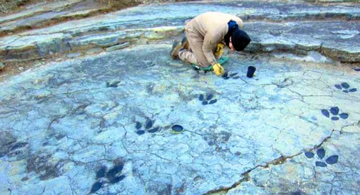 Una intervención en el yacimiento de Fuentesalvo.