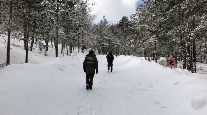 Pista forestal de acceso al aparcamiento del Paso de la Serrá.