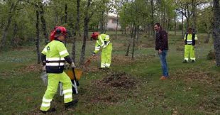 Trabajos de brigadas forestales durante el pasado año.