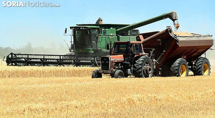 Labores de cosecha de cereal. /SN