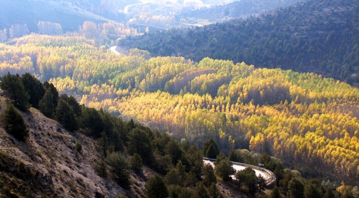 Imagen del Cañón del Lobos en la cuesta de La Galiana. 
