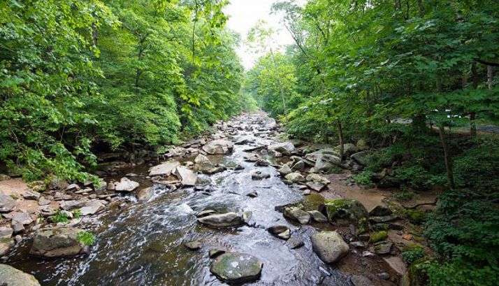 La planificación de la Red Natura 2000 en Castilla y León, premiada por Europarc-España