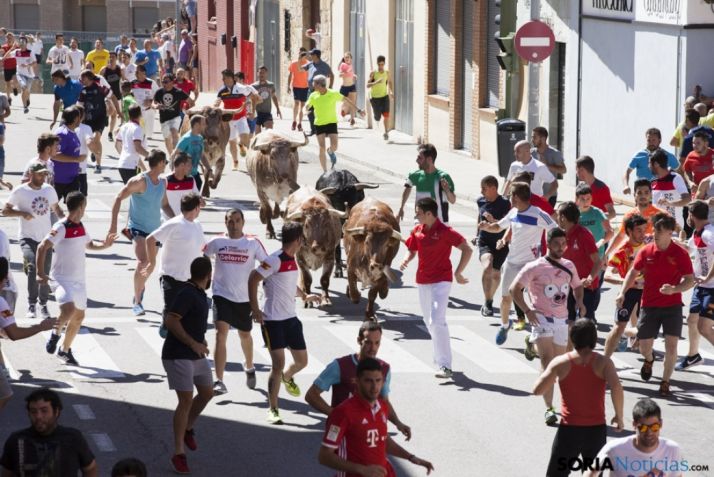 Varios miembros de la A.C.T corren durante el encierro de Soria en 2018.