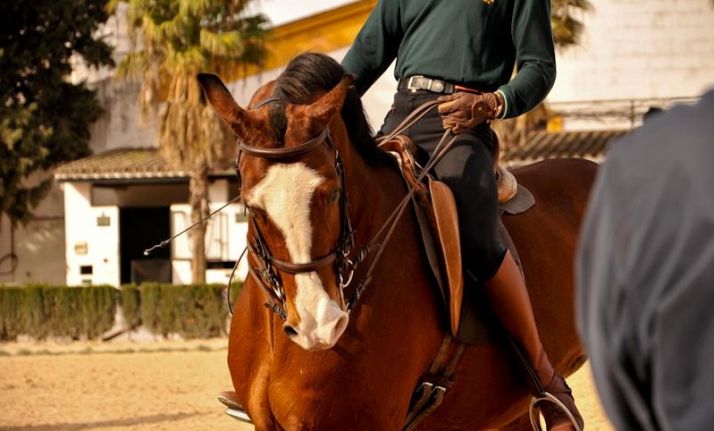 Espectáculo ecuestre de máximo nivel en Soria