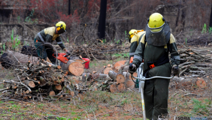 Brigadas Forestales de la Diputación de Soria