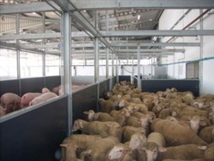 Imagen de archivo de Europa Press. 