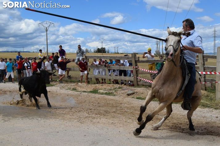 Una fotografía de la Saca de 2017 tomada por Oscar Serna.