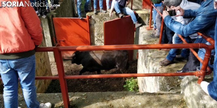 GALERÍA: Comienza la fiesta en Valonsadero