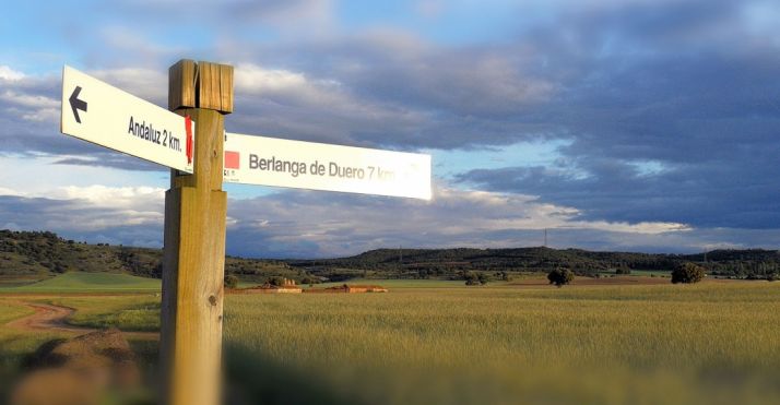Paraje donde está prevista una explotación de porcino en la pedanía de Andaluz. 