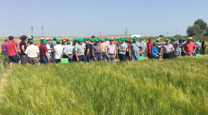 Una imagen de la jornada. 