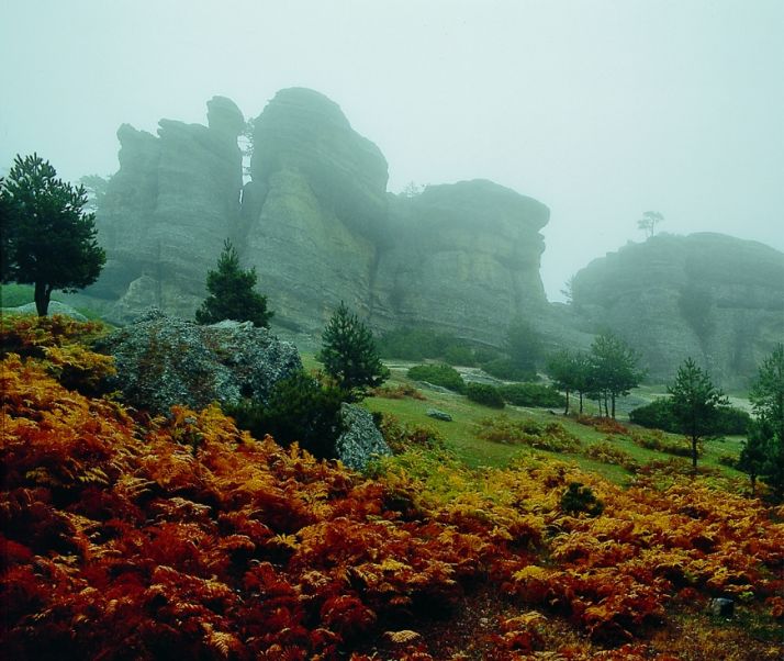 Duruelo de la Sierra, Medinaceli, Almazán y San Esteban ganan visitantes en mayo