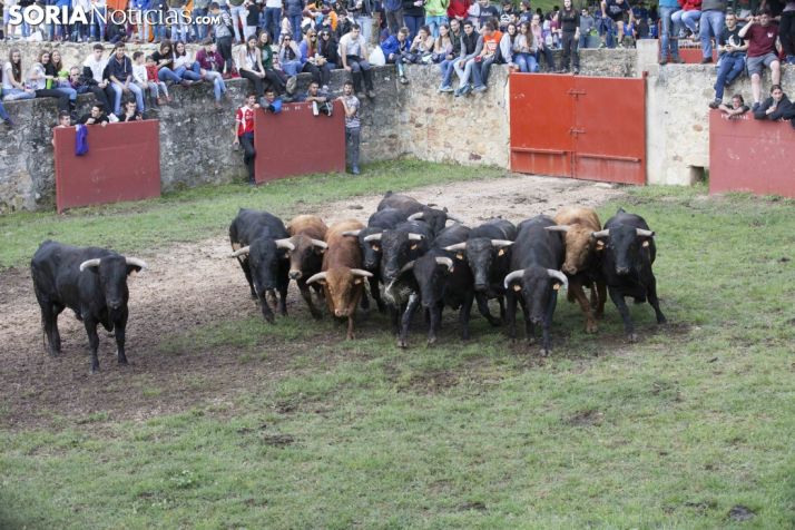 MEGA-GALERÍA: Así ha sido el Desencajonamiento 2018