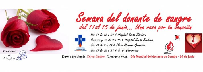 Esta semana, una rosa por donación de sangre 
