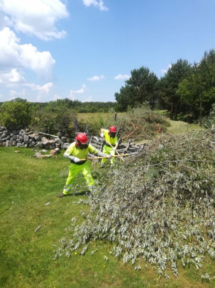 Las brigadas forestales de la Diputación empiezan a trabajar