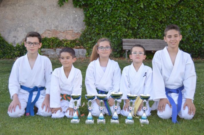 6 copas para el kárate soriano en el regional