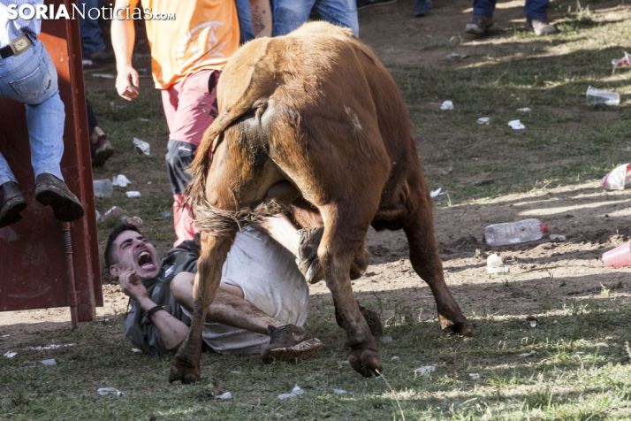 El Lavalenguas, en imágenes 