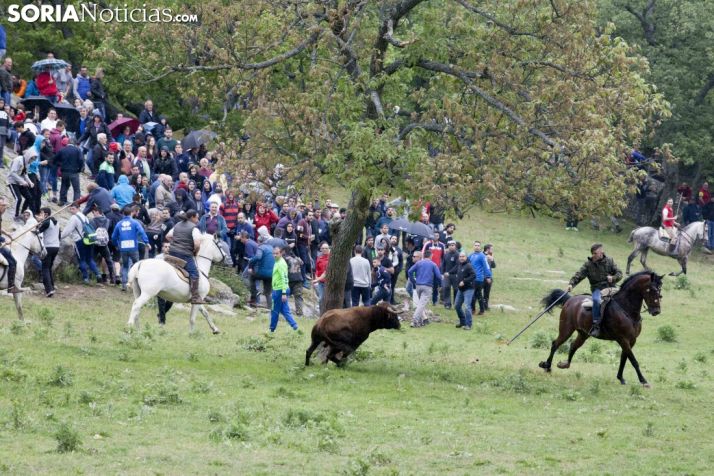Galería de fotos: el Lavalengüillas 