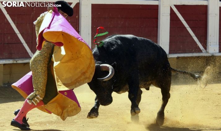 La asociación Celtiberia convoca su premio al mejor toro de la feria de San Juan