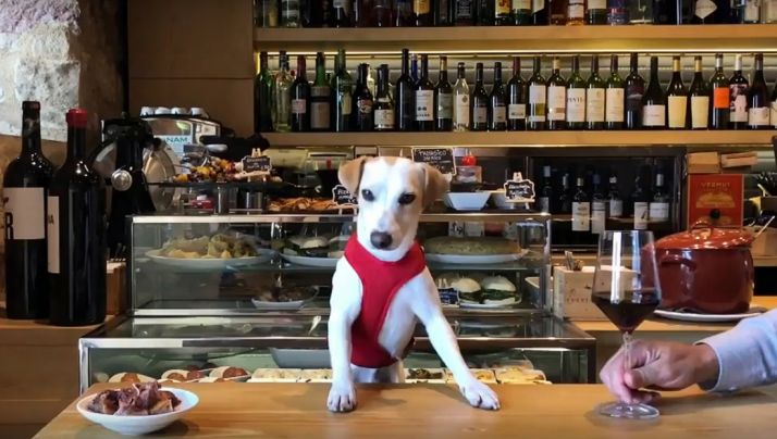 Pipper la mascota de la campaña. /Jta.