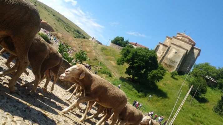 Somos Trashumantes llega a Oncala para vivir la fiesta