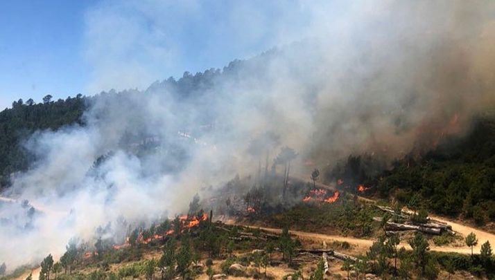 Una imagen del incendio donde se ha producido el fatal accidente. /ATBRIF