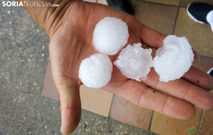 Pedrisco caído en Ágreda el 20 de julio. /SN