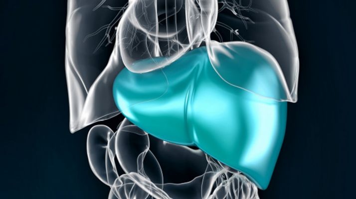 Más del 95% de los pacientes tratados en Sacyl con antivirales de acción directa se han curado de la hepatitis C