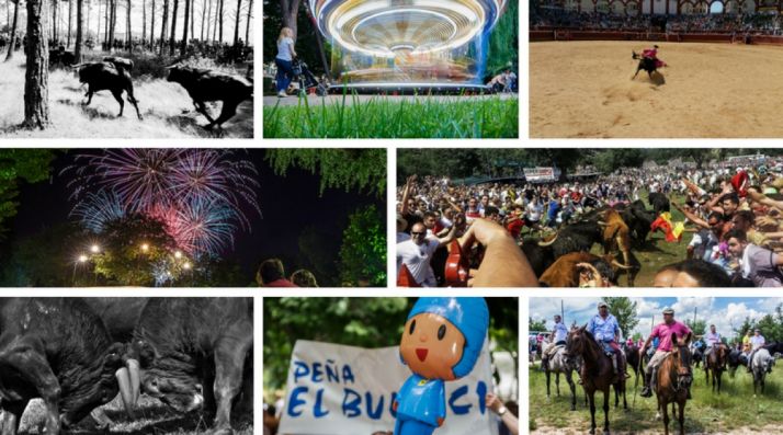 Algunas de las fotos presentadas al concurso. 