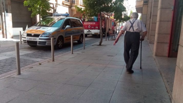 Los bomberos vuelven a la calle Medinaceli por el enjambre de abejas