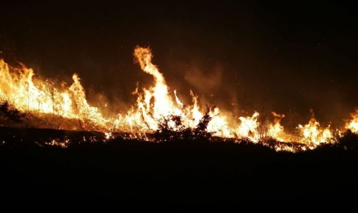 Menos hectáreas quemadas en 2018