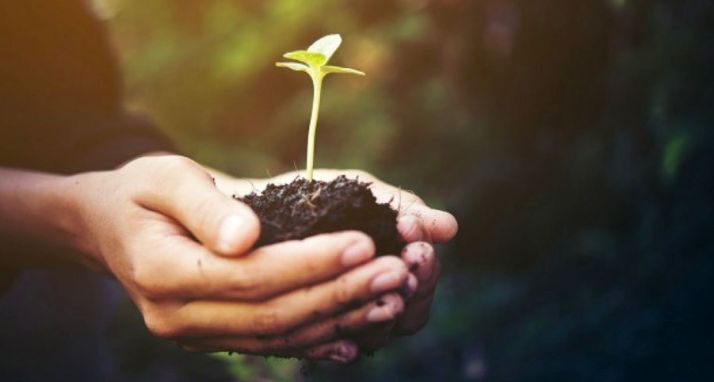 Junta eleva hasta el 80% las ayudas para incorporación de jóvenes al campo y dobla las de modernización de explotaciones