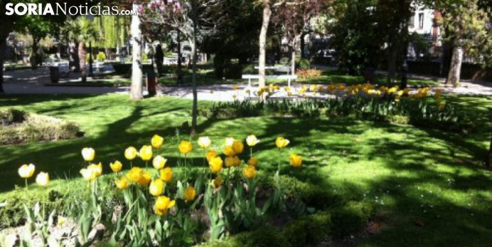 Imagen de la Alameda de Cervantes, en la capital soriana. /SN